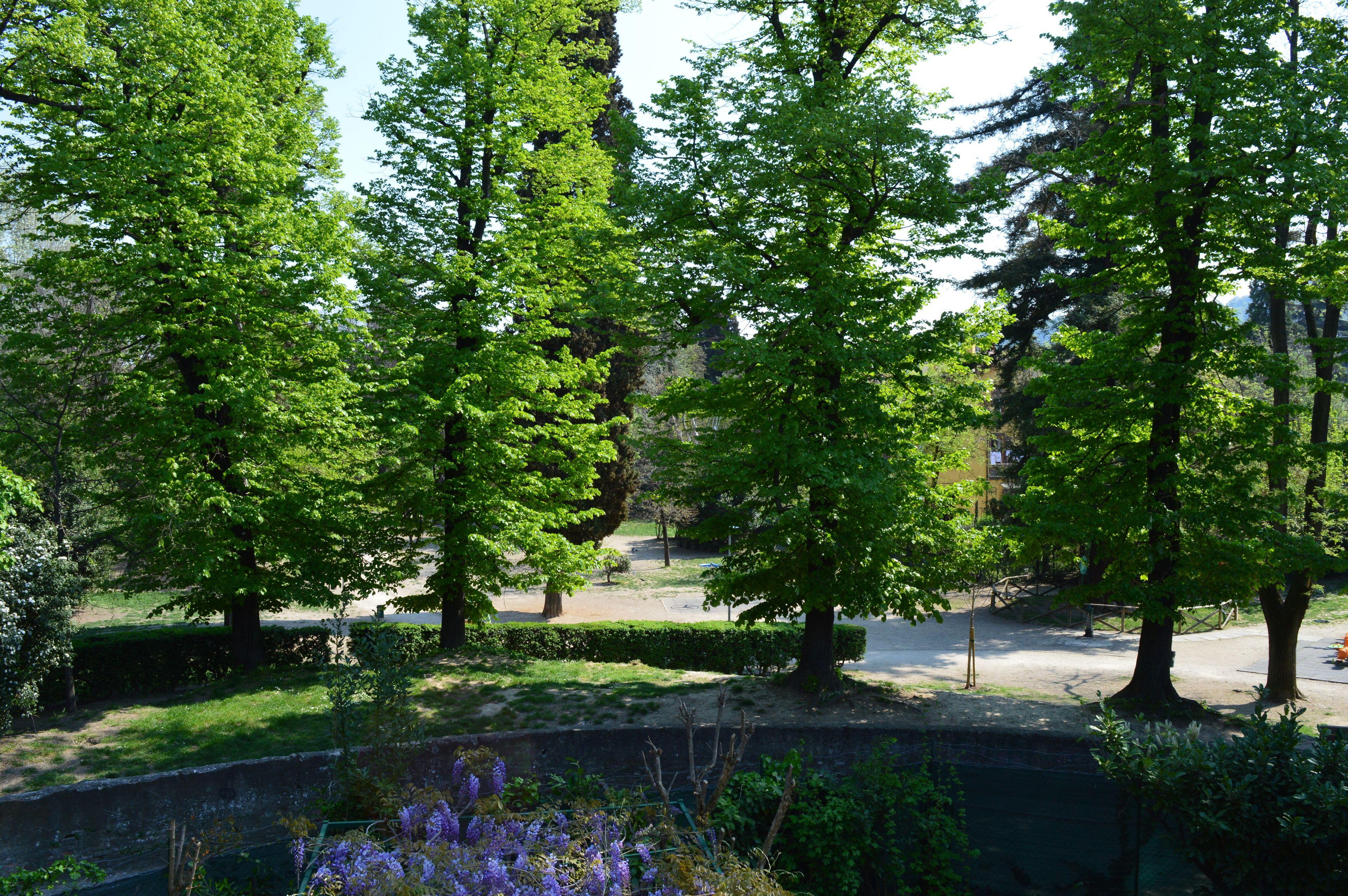 Il Giardino Nel Parco R&B — Foto 1